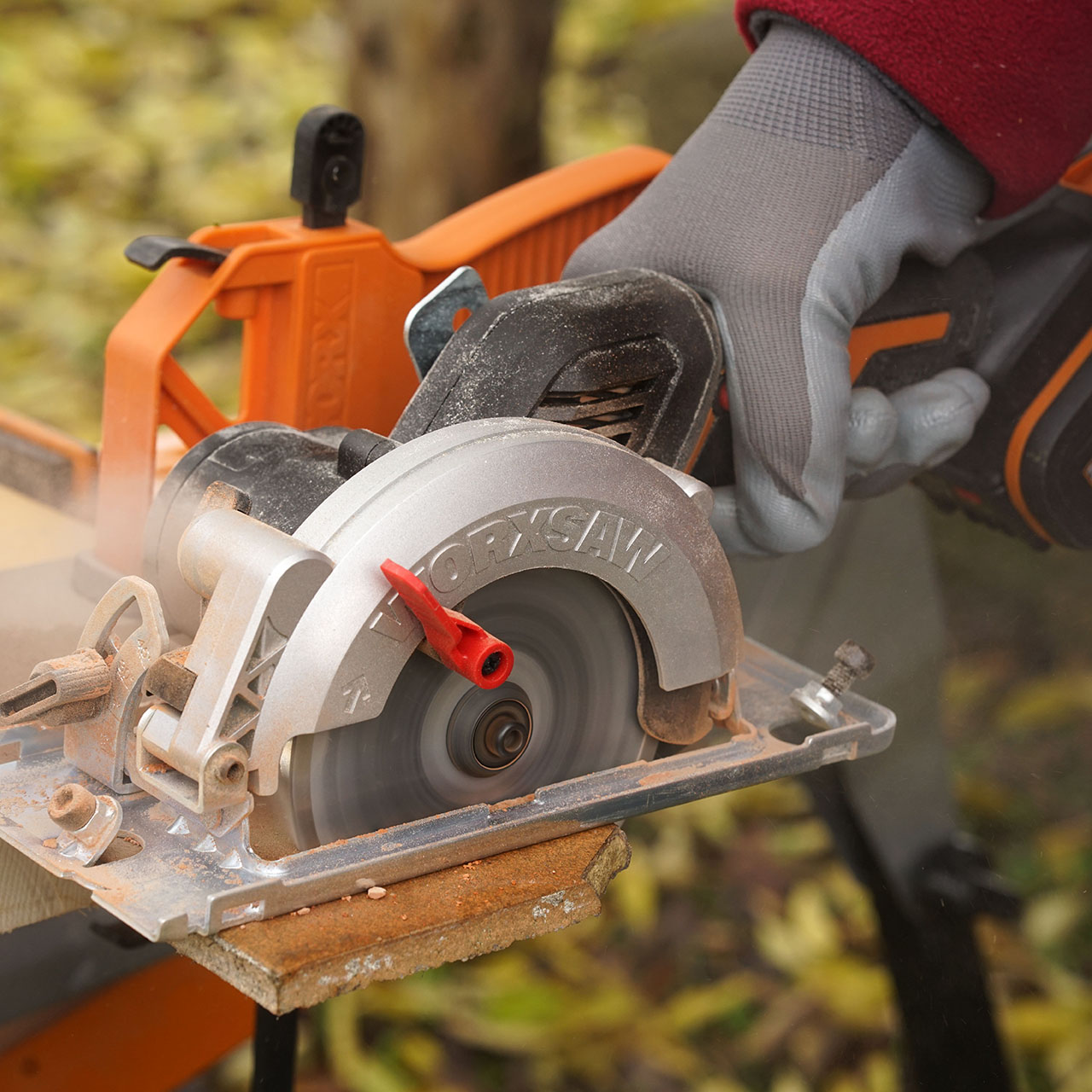 WOLF Shop -WOLF Shop 2